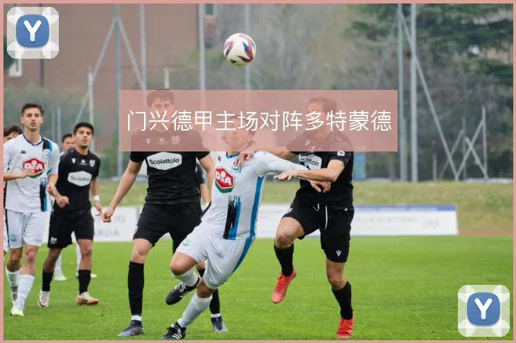 门兴德甲主场对阵多特蒙德